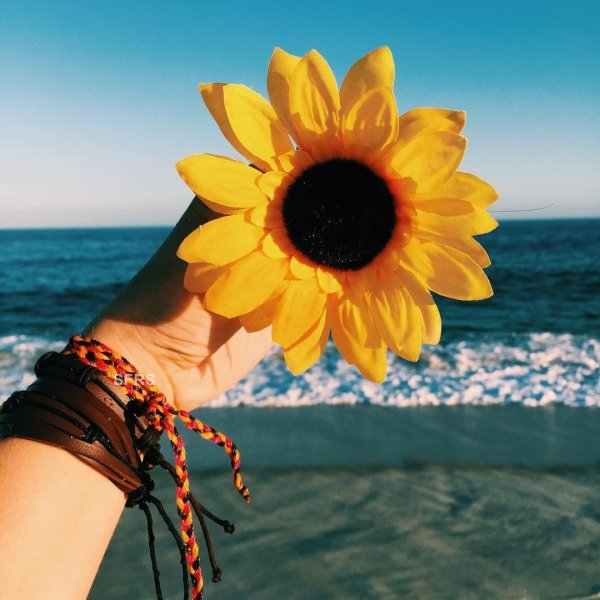 Лето для инстаграмма