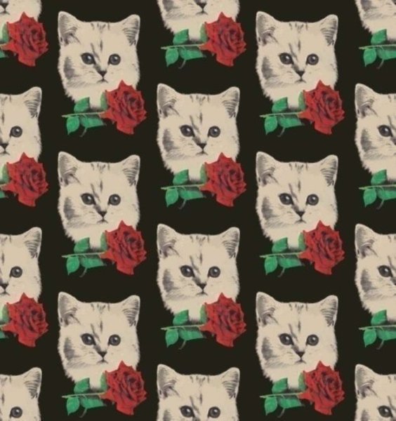 Фон для Спрашивай