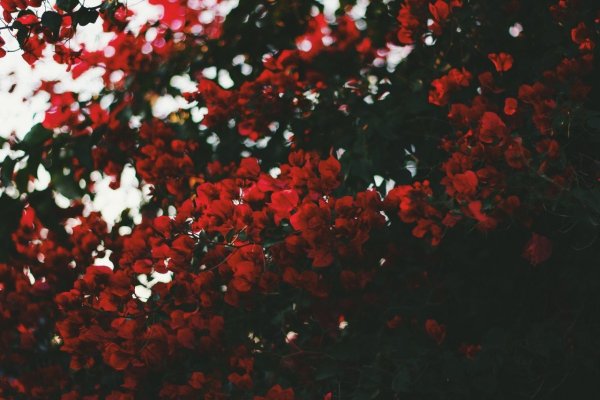 Ответ картинкой на Спрашивай