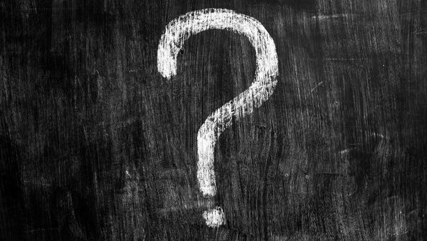 Смешная Нерпа