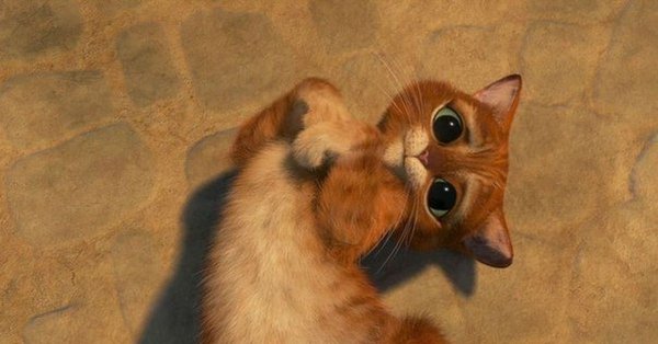 Фон сердечки