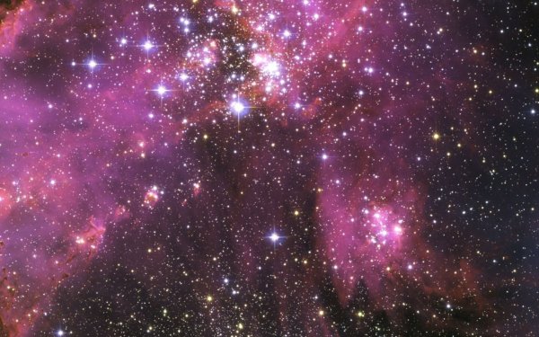 Отвечать на вопросы