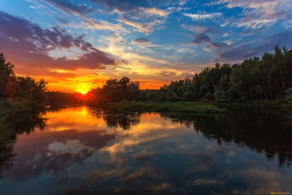 Закат в лесу летом