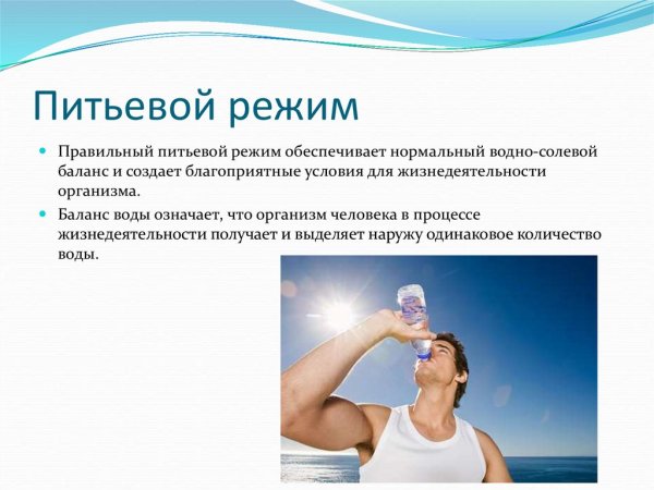 Вода и питьевой режим
