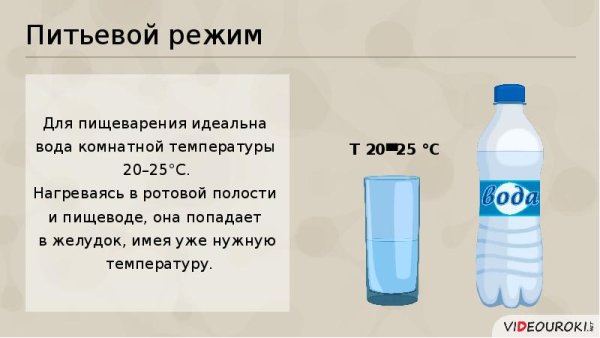 Вода и питьевой режим