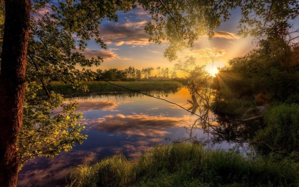 Природа летом рассвет