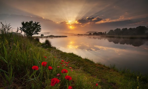 Природа Восход
