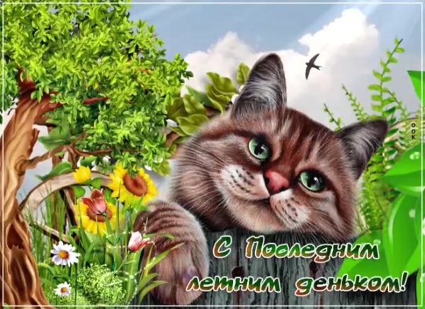 Открытки с последними летними деньками