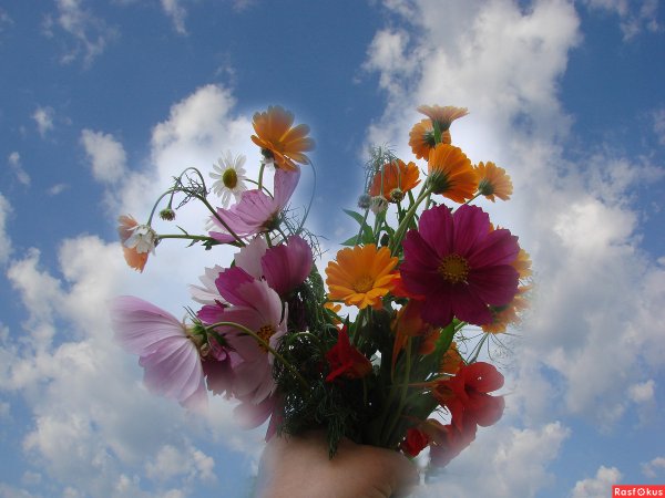 Ура завтра лето