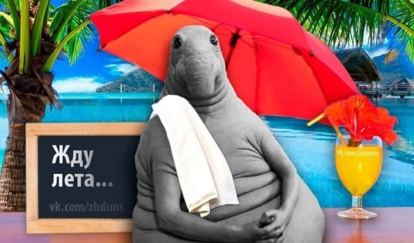 Фразы про море прикольные