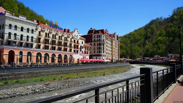 Сочи роза Хутор природа