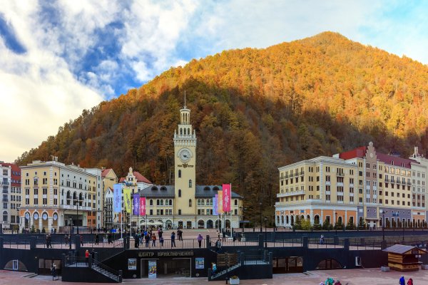 Сочи красная Поляна роза