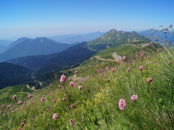 Сочи горы красная Поляна