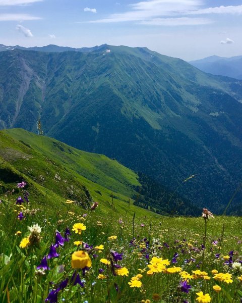 Адлер красная Поляна роза Хутор