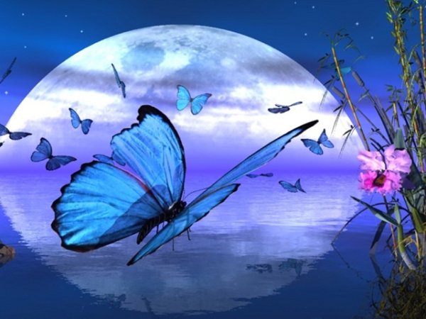 Красивых снов