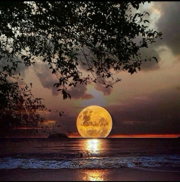 Спокойной летней ночи