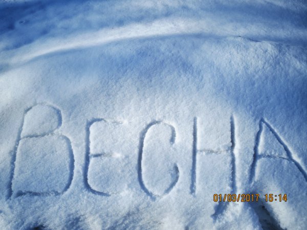 Совсем скоро лето