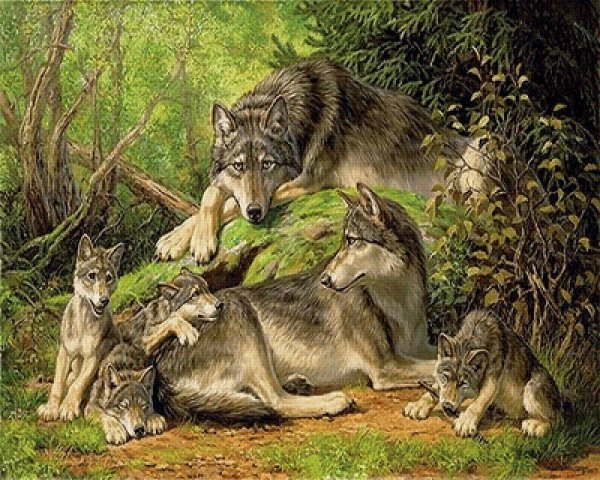 Картины Данчуровой Татьяны волки