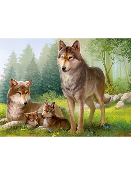 Картина семья Волков летом для детского сада
