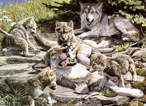 Картина Волчья семья