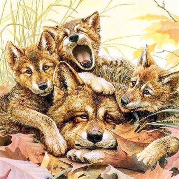 Семья Волков для детей