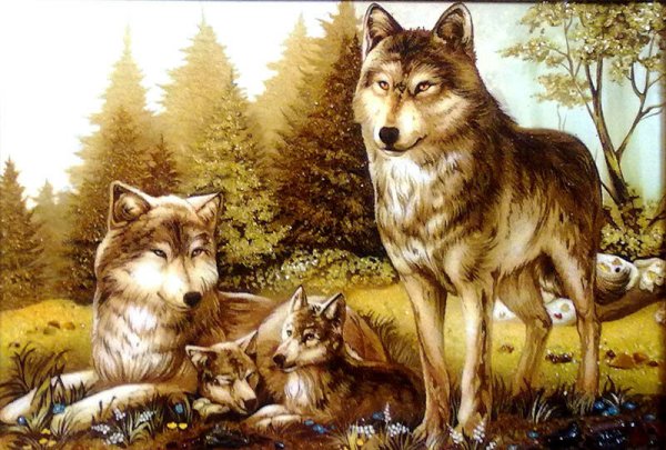 Семья Волков с волчатами
