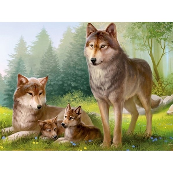 Волчонок canis Lupus