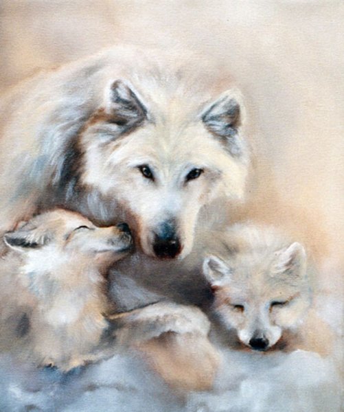 Волк волчица и Волчонок