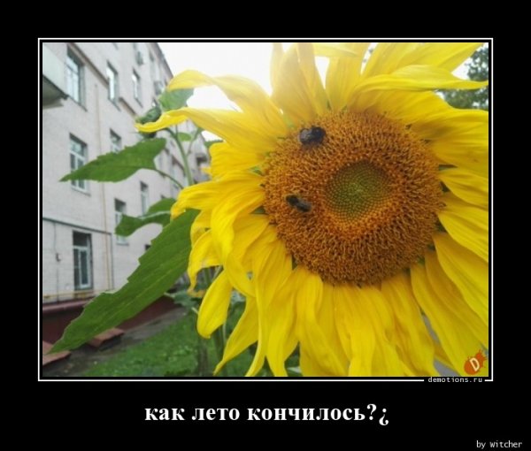 Цитаты про отпуск