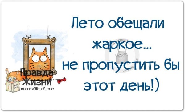 Смешные высказывания про Холодное лето
