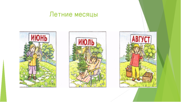 Летние месяцы