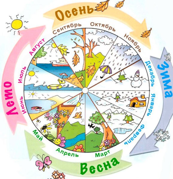 Детский календарь времена года
