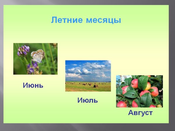 Летние месяцы для детского сада