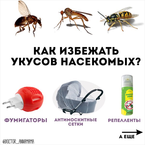 Насекомые карикатура