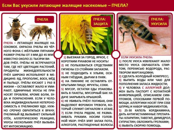 Памятка про клещей Роспотребнадзор