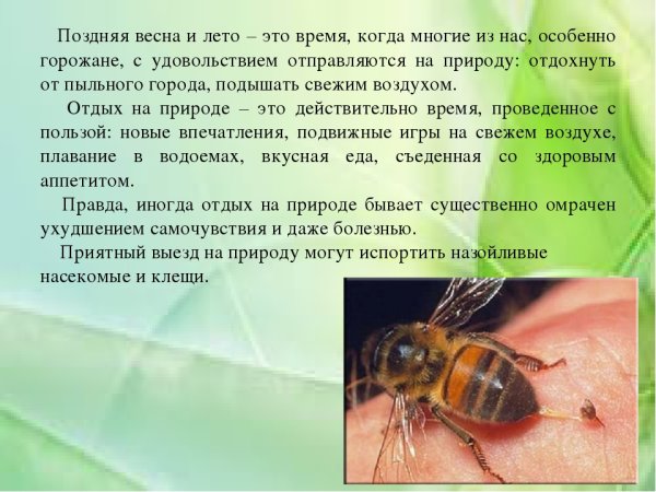 Памятка укусы насекомых