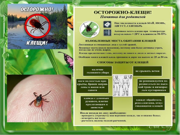 Оказание первой помощи при укусах насекомых