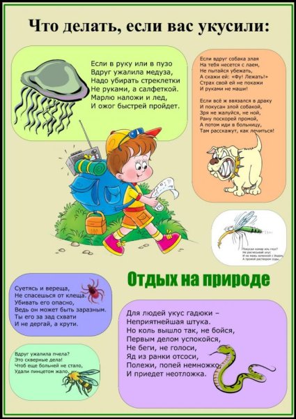 Предотвращение укусов клещей