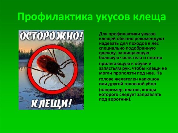 Памятка первая помощь при укусах насекомых для детей