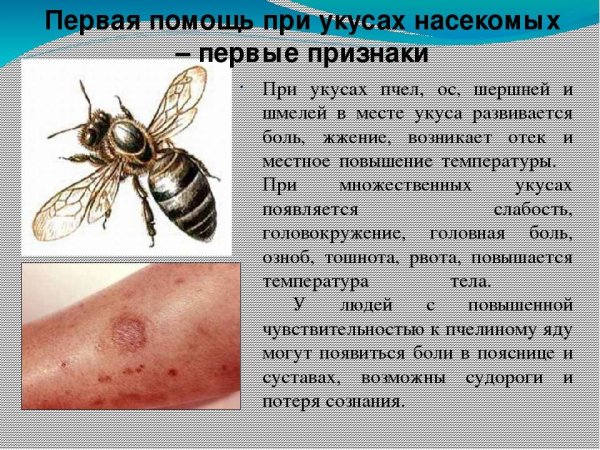 Осторожно клещи памятка для детей