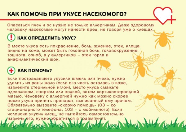 Укусы насекомых симптомы