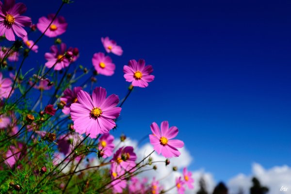 Баннер природа