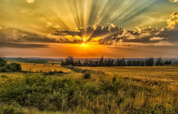 Летний закат