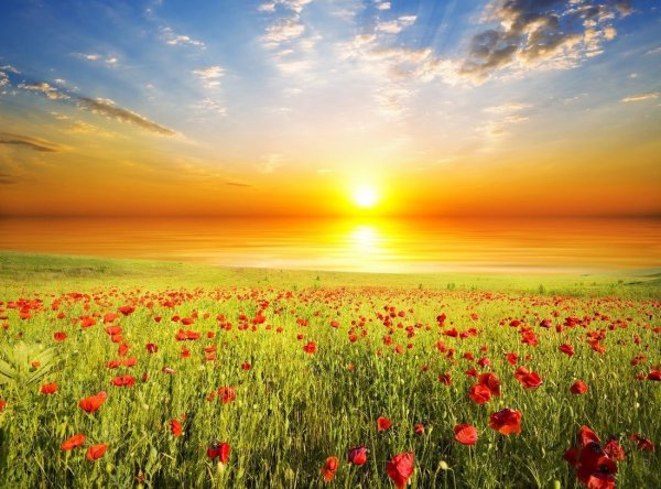 Красивый закат солнца