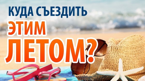 Котик в отпуске
