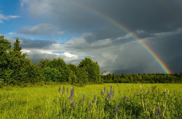 Пейзаж с радугой