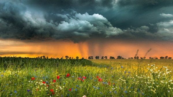 Природа после грозы