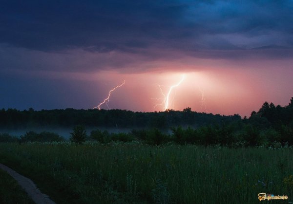 Весенняя гроза Тютчев