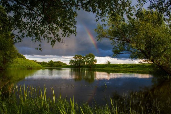 Грозовой дождь