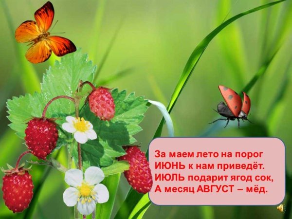 Карикатуры про лето